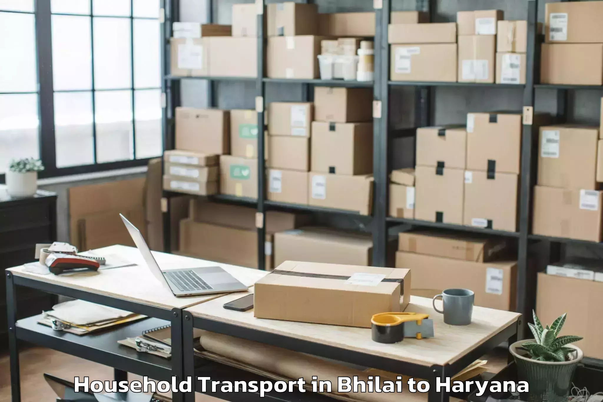 Leading Bhilai to Abhilashi University Faridabad Household Transport Provider